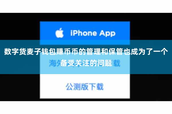 数字货麦子钱包赚币币的管理和保管也成为了一个备受关注的问题
