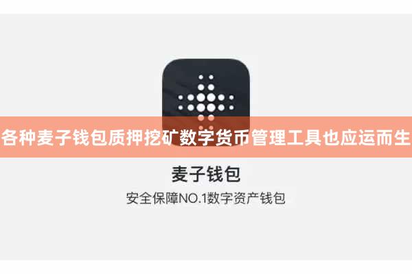 各种麦子钱包质押挖矿数字货币管理工具也应运而生