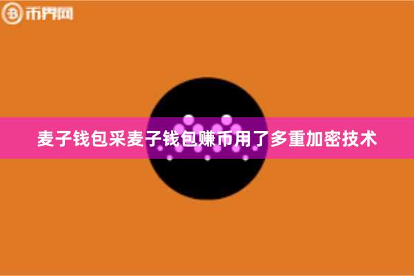 麦子钱包采麦子钱包赚币用了多重加密技术