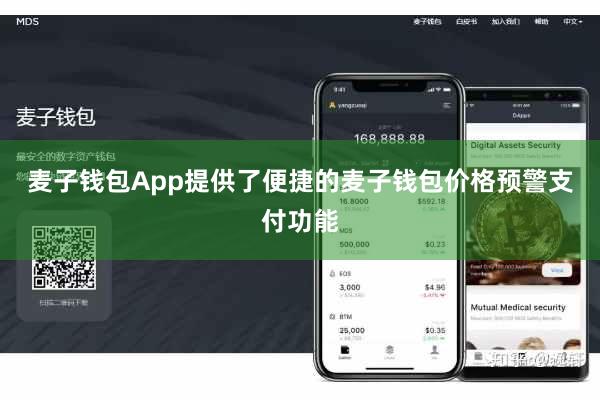 麦子钱包App提供了便捷的麦子钱包价格预警支付功能
