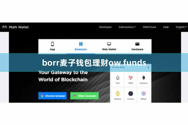 borr麦子钱包理财ow funds