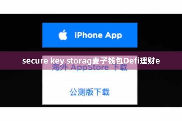 secure key storag麦子钱包Defi理财e
