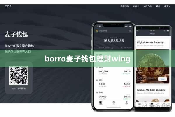 borro麦子钱包理财wing