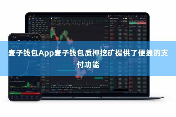 麦子钱包App麦子钱包质押挖矿提供了便捷的支付功能