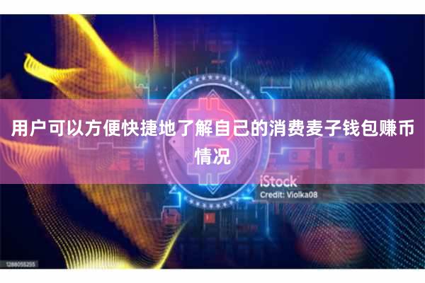 用户可以方便快捷地了解自己的消费麦子钱包赚币情况