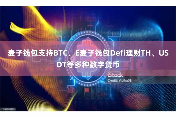麦子钱包支持BTC、E麦子钱包Defi理财TH、USDT等多种数字货币